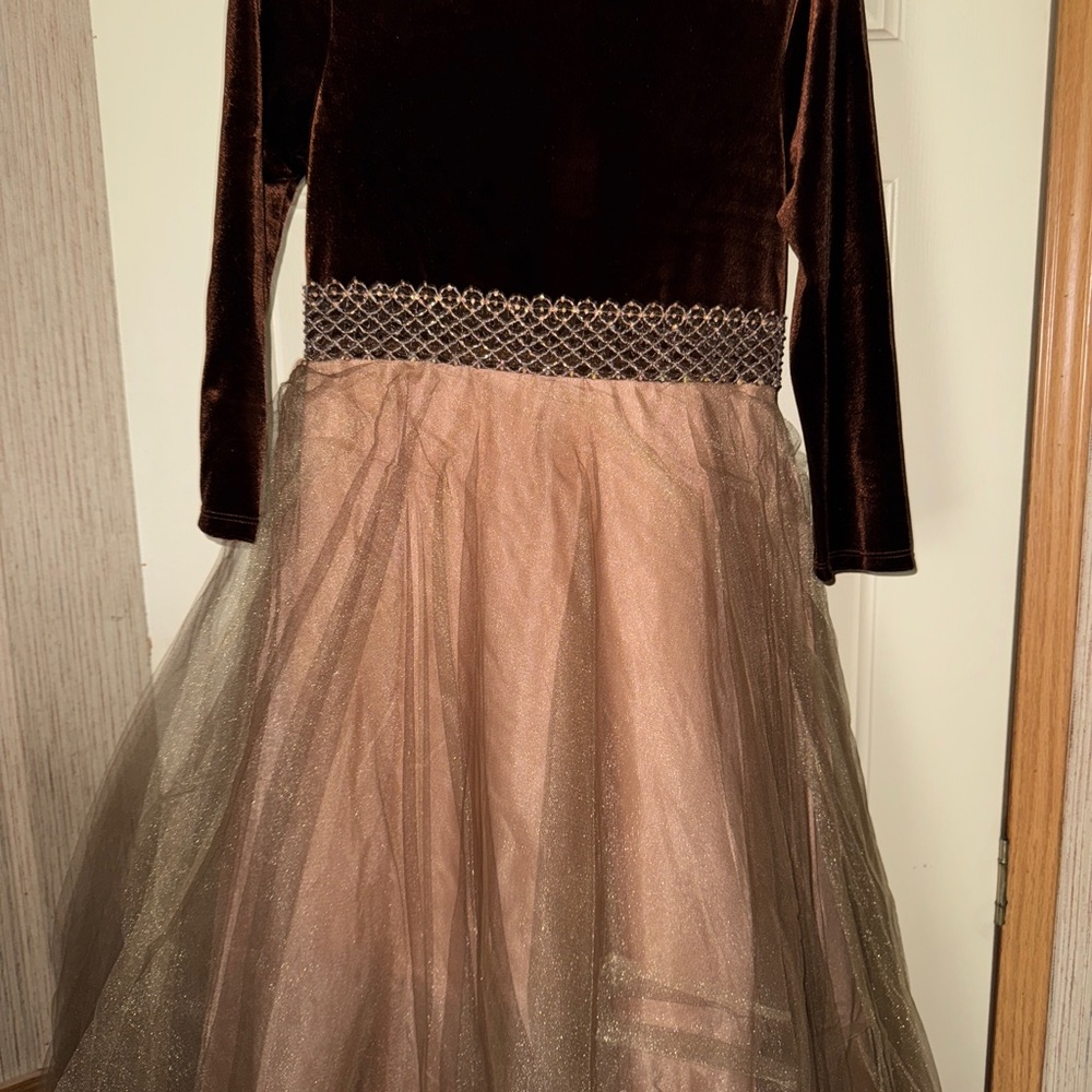 Amber Celeste Elegant Velvet and Tulle Dress
